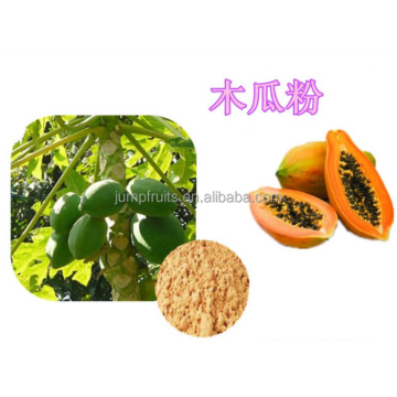 Mesin Pemprosesan Papaya Membuat Jus Papaya